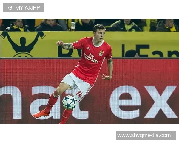 铁牛足球明星的名字盘点与介绍你知道哪些球员吗