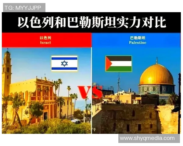 巴勒斯坦人和康塞的对决：历史背景与未来展望分析