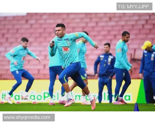 巴西与比利时对决分析及胜负推荐策略分享