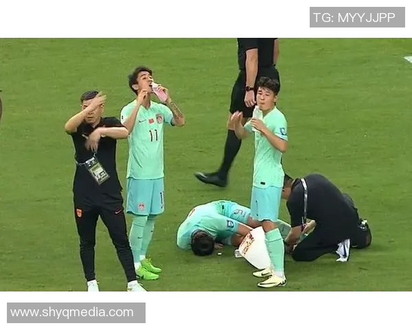 新加坡与印尼足球对决全面分析与未来走势预测