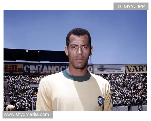 80后心目中的足球偶像与他们的传奇故事回顾