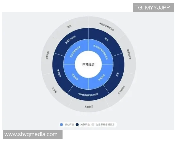 职业体育俱乐部盈利模式探讨与可持续发展策略研究